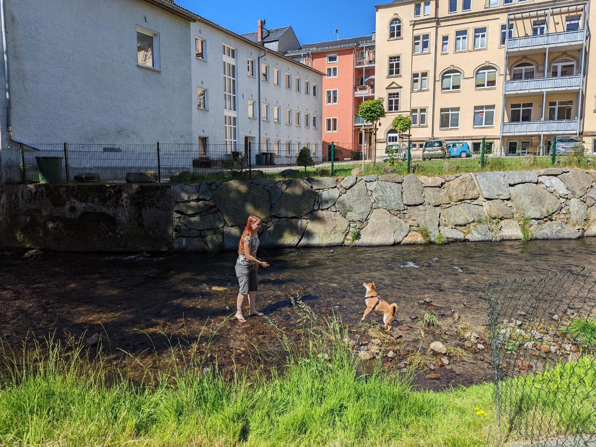 Appartement Zi2 - Urlaubsmagie - Whirlpool, Sauna Und Garten à Sebnitz Extérieur photo