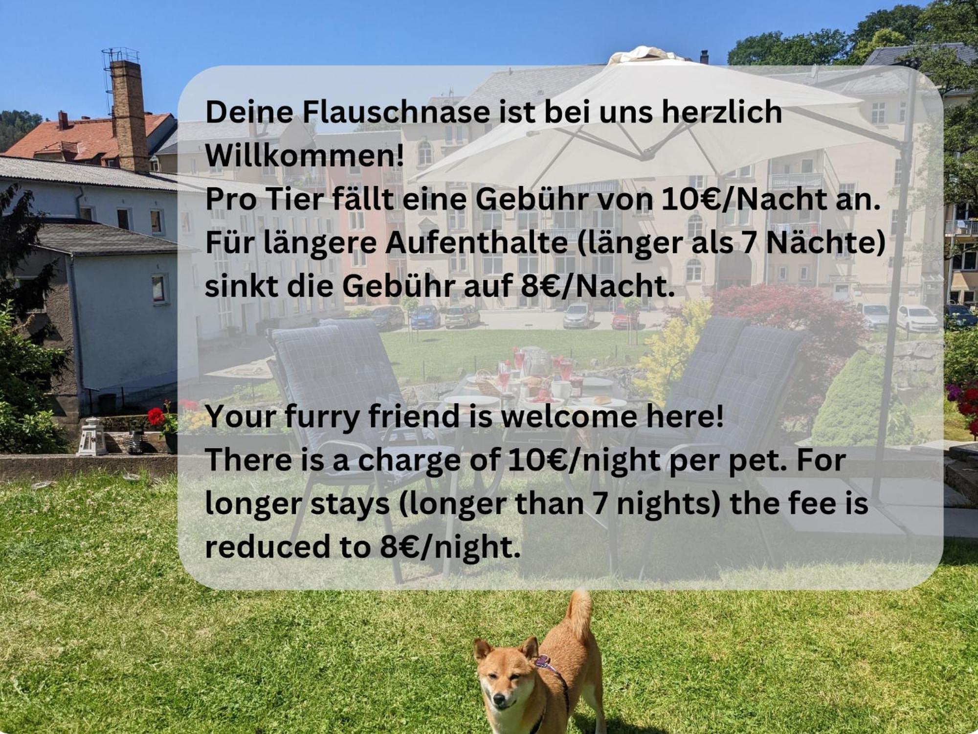 Appartement Zi2 - Urlaubsmagie - Whirlpool, Sauna Und Garten à Sebnitz Extérieur photo